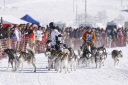 Lenk 2013